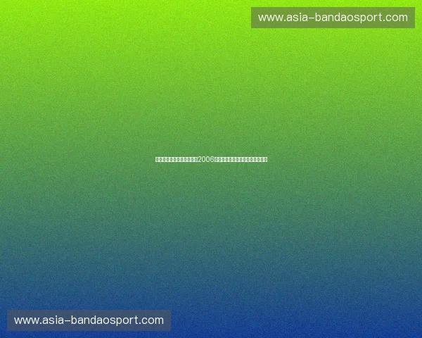 威斯特法伦的仲夏夜之梦:2006,那场让时间停滞的德意巅峰对决